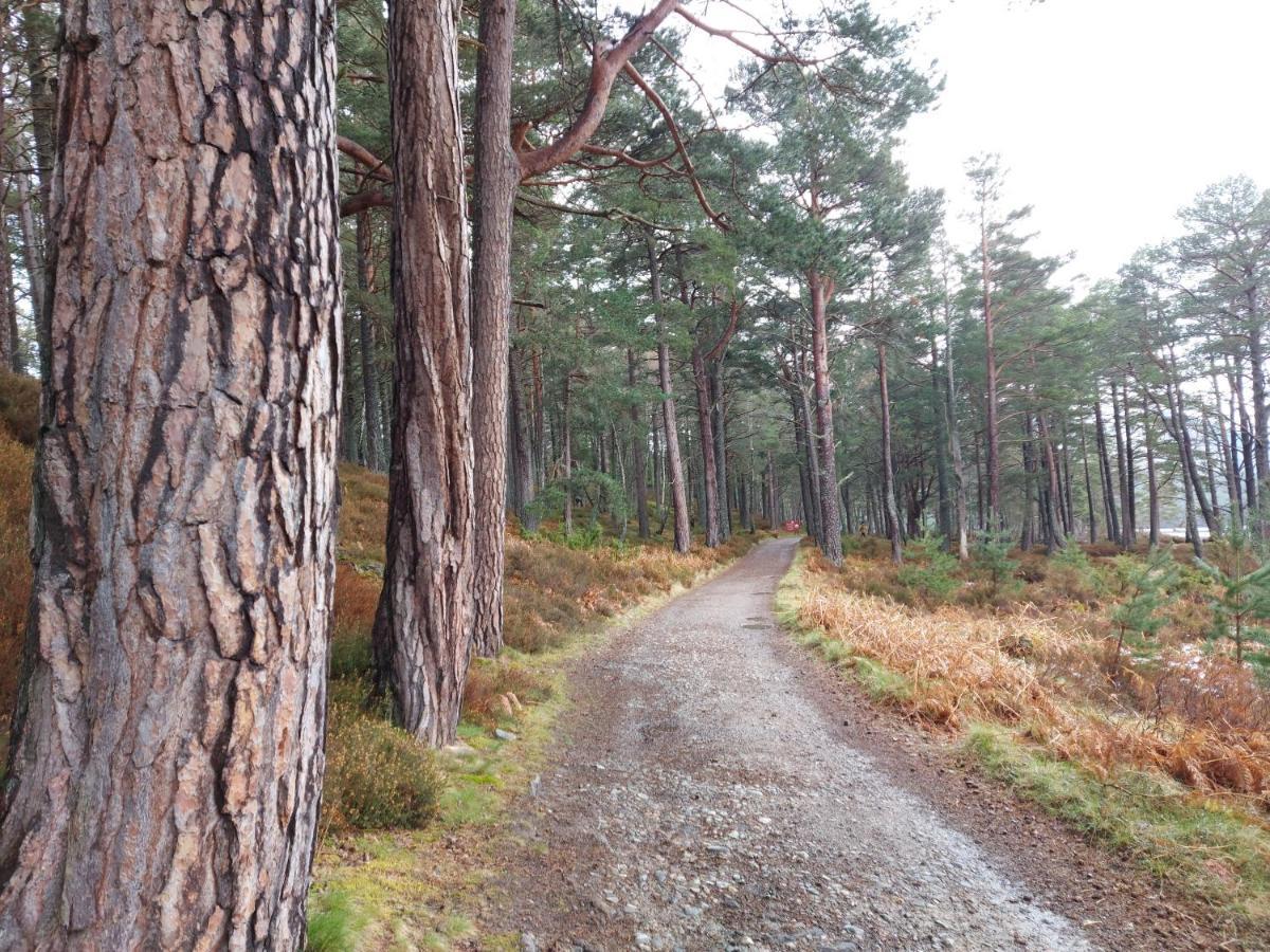 Holiday House Kinveachy Aviemore Ngoại thất bức ảnh