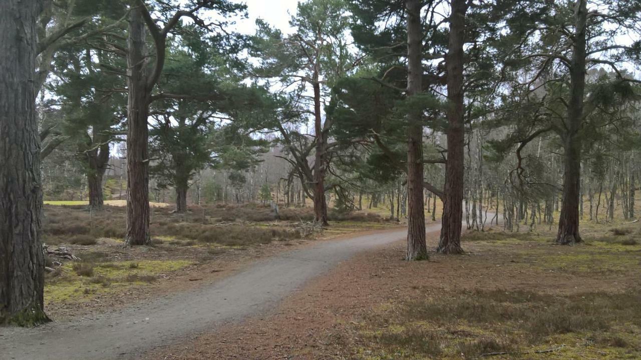 Holiday House Kinveachy Aviemore Ngoại thất bức ảnh
